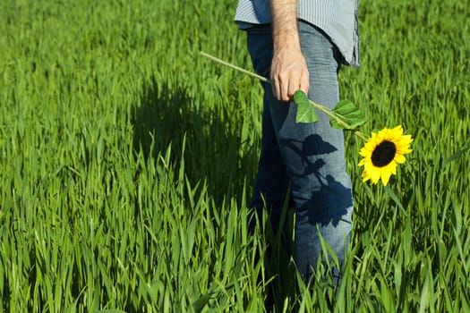 young man standing with a sunflower in the green field