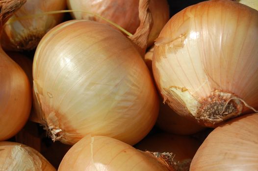 onions