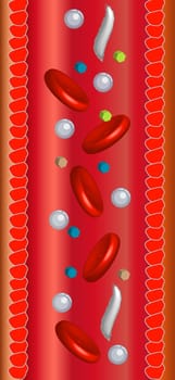 A graphic profile showing a bloodstream and its components.