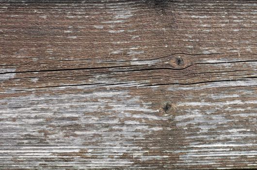 Texture of weathered wood.