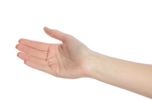 A neat human hand. All ioslated on white background.