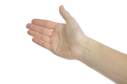 A neat human hand. All ioslated on white background.