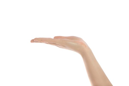 A neat human hand. All isolated on white background.