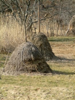 Hayricks in countryside