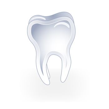 An illustrated tooth. All isolated on white background.