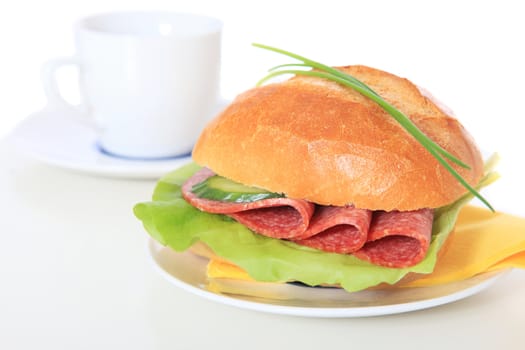 Fine served wheat roll with salami. All on white background.