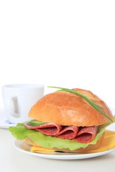 Fine served wheat roll with salami. All on white background.