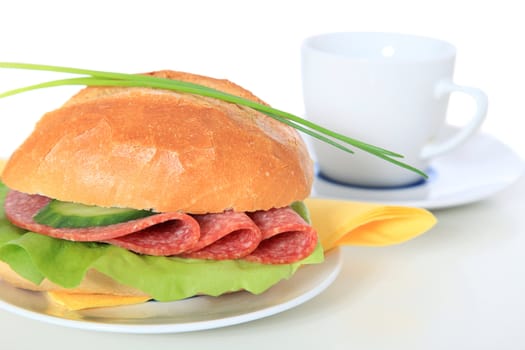 Fine served wheat roll with salami. All on white background.