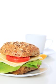 Fine served multi-grain roll with cheese. All on white background.