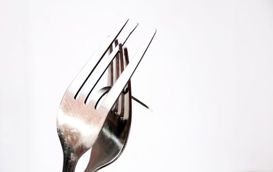 kissing forks