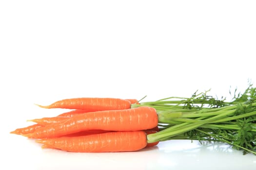 Fresh carrots. All on white background.