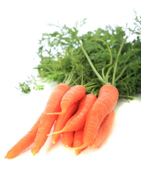 Fresh carrots. All on white background.