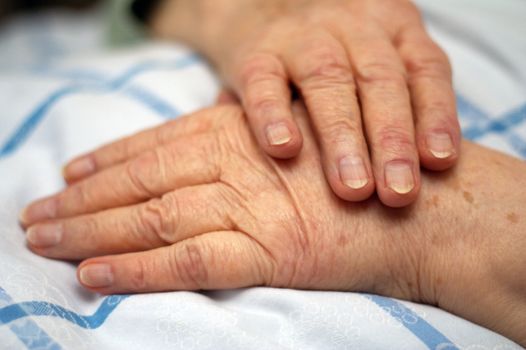 Old wrinkled hands of an elderly person.