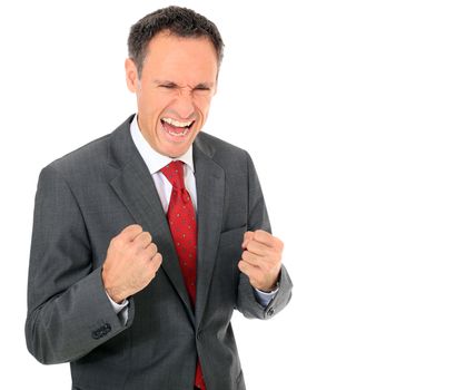 Cheering businessman. All on white background.