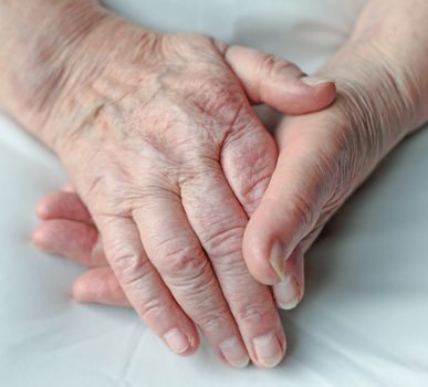 Old wrinkled hands of an elderly person.