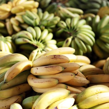 Market stall offering bananas.