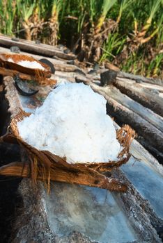 Basket with fresh extracted sea salt on wooden tanks for water evaporation. It is a unique tradition of production dating back over 900 years in Bali, Indonesia.