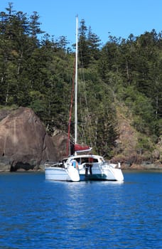 Catamaran anchored at a tropical island.