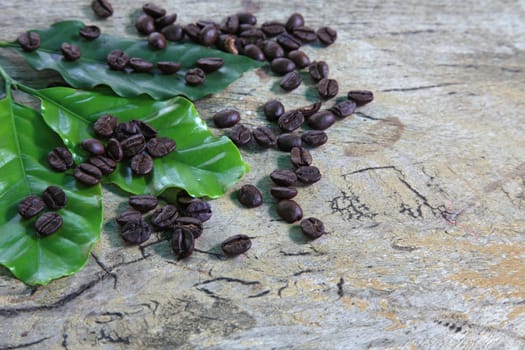 Coffee beans in dark roast level on rustic wooden board.