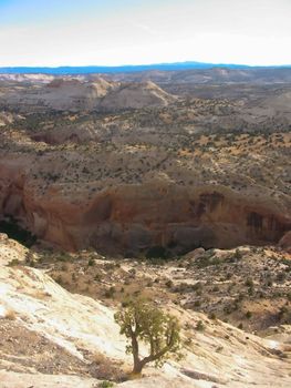 Red Canyon near Zion NP in Utah