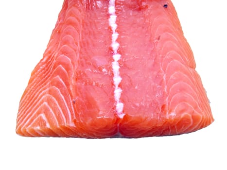 Salmon           