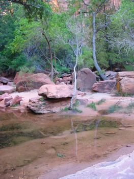 Zion National Park in Utah.