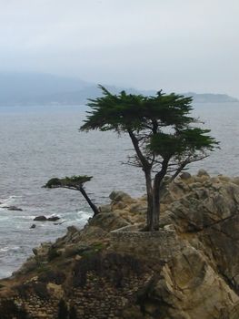 Pacific Ocean coast in Big Sur, California