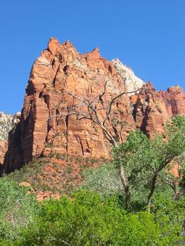 Red Canyon near Zion NP in Utah