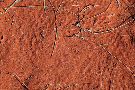 Ground in central Australian desert. Background texture.