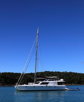 Catamaran anchored next to a tropical island.