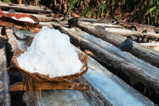 Basket with fresh extracted sea salt on wooden tanks for water evaporation. It is a unique tradition of production dating back over 900 years in Bali, Indonesia.