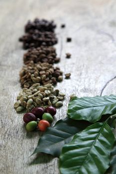 Piles of coffee beans next to some fresh leaves of a coffee plant.