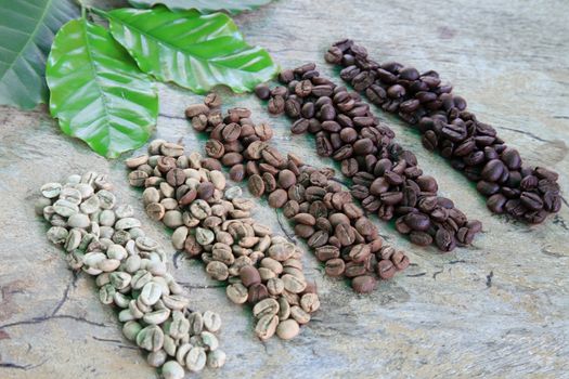 Coffee beans in different roast levels on rustic wooden board.