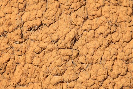 Termite hill background texture.