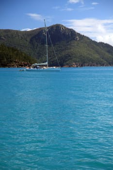 Catamran anchored next to a tropical island. Plenty of text space in foreground.