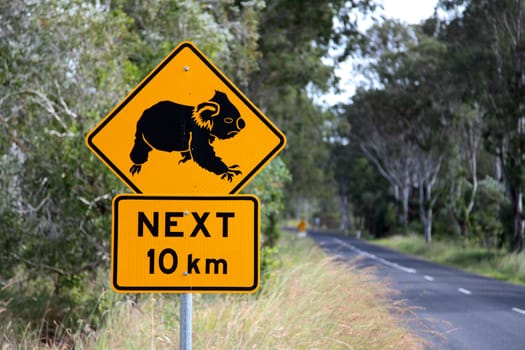 Koala road sign in Eastern Australia.