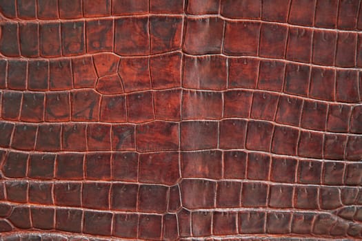 Crocodile leather background texture.