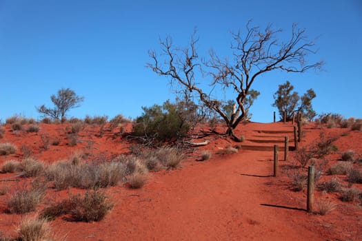 Central Australian desert landscape.