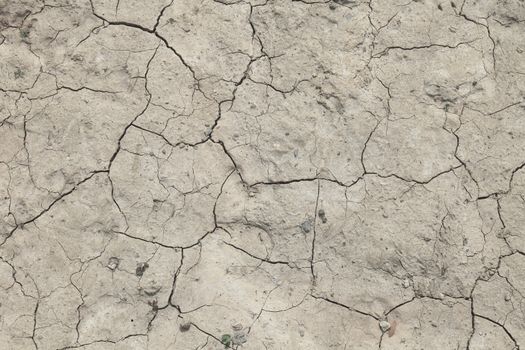 Background texture of a flawed dried out ground.