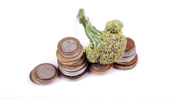 some coins in front of a white studio background