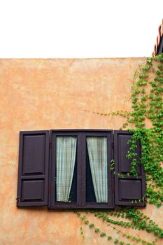 open wooden windows in Italian style with plant, vertical