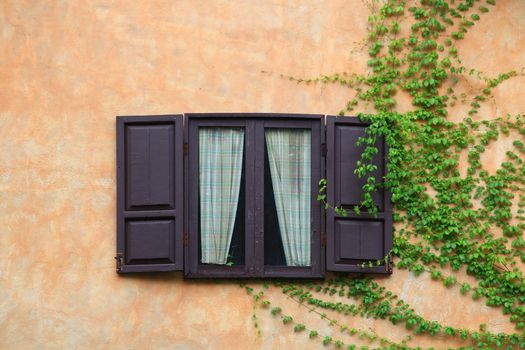 Open Wooden windows in Italian style on yellow building with plant
