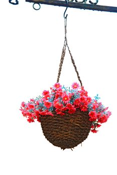 hanging flower basket