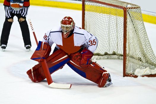 hockey goalie 