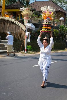 BALI, INDONESIA - SEP 20: Village woman carry offerings of food baskets on her head near village temple Sep 20, 2010 in Bali, Indonesia. 
