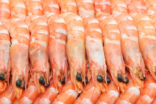 boiled Shrimp cocktail background using as healthy eating concept
