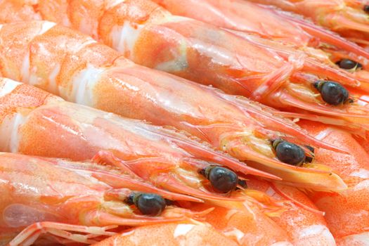 boiled Shrimp cocktail background using as healthy eating concept