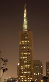 Transamerica Building Triangle Night San Francisco California