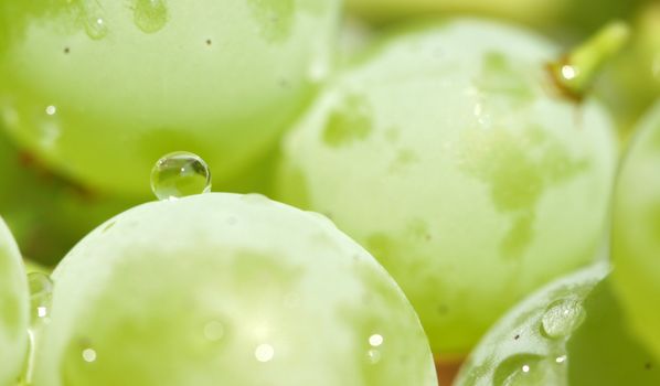 ripe grapes