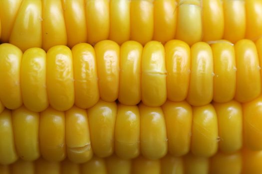 Corn cobs